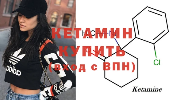шишки Рославль