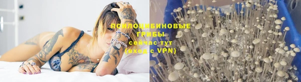 a pvp Волоколамск