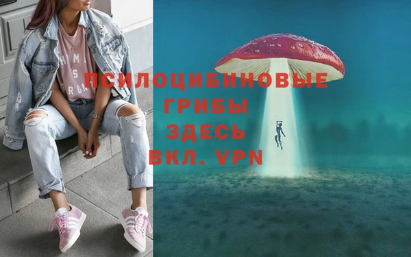 кокаин перу Вяземский
