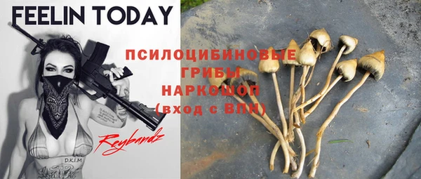 молекула духа Вязники