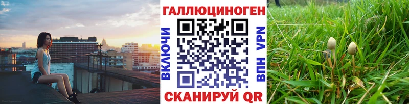Галлюциногенные грибы Cubensis  Петушки 